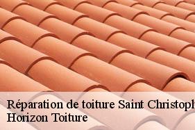 Réparation de toiture saint-christophe-a-berry-02290 Horizon Toiture