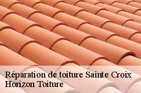 Réparation de toiture sainte-croix-02820 Horizon Toiture