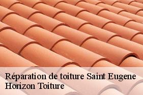Réparation de toiture saint-eugene-02330 Horizon Toiture