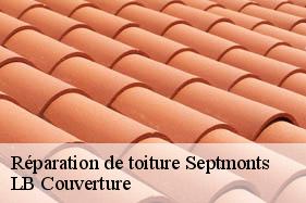 Réparation de toiture  septmonts-02200 LB Couverture