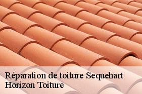 Réparation de toiture sequehart-02420 Horizon Toiture