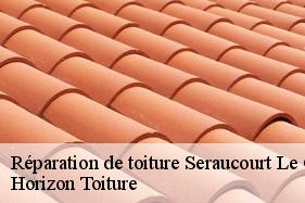 Réparation de toiture seraucourt-le-grand-02790 Horizon Toiture