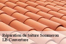 Réparation de toiture  sommeron-02260 LB Couverture