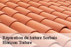 Réparation de toiture sorbais-02580 Horizon Toiture