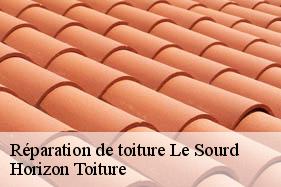 Réparation de toiture le-sourd-02140 Horizon Toiture