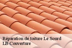 Réparation de toiture  le-sourd-02140 LB Couverture