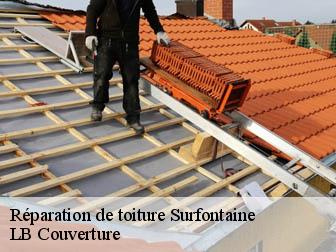 Réparation de toiture  02240