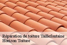 Réparation de toiture taillefontaine-02600 Horizon Toiture