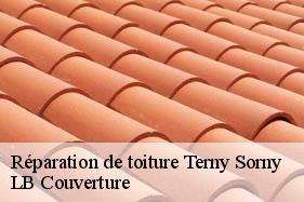Réparation de toiture  terny-sorny-02880 LB Couverture