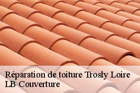 Réparation de toiture  trosly-loire-02300 LB Couverture