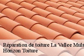 Réparation de toiture la-vallee-mulatre-02110 Horizon Toiture