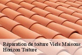 Réparation de toiture viels-maisons-02540 Horizon Toiture