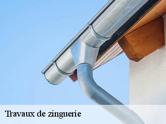 Travaux de zinguerie  02360