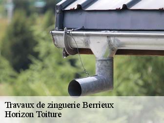 Travaux de zinguerie  02820