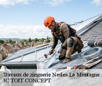 Travaux de zinguerie  nesles-la-montagne-02400 JC TOIT CONCEPT