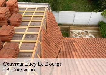 Couvreur  lucy-le-bocage-02400 LB Couverture