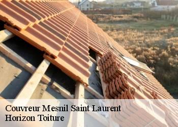 Couvreur mesnil-saint-laurent-02720 Horizon Toiture