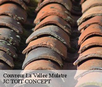 Couvreur  la-vallee-mulatre-02110 JC TOIT CONCEPT