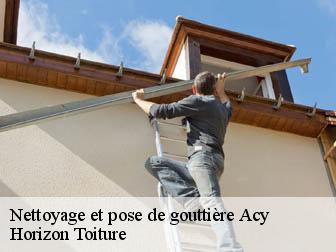 Nettoyage et pose de gouttière  02200