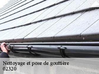 Nettoyage et pose de gouttière  02320