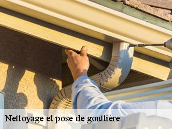 Nettoyage et pose de gouttière 02860