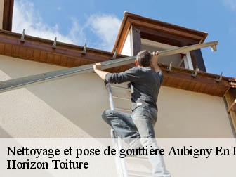 Nettoyage et pose de gouttière  02820