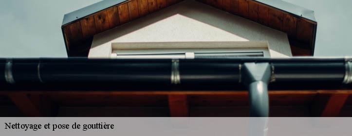 Nettoyage et pose de gouttière  02500