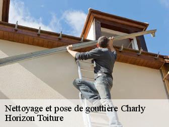 Nettoyage et pose de gouttière  02310