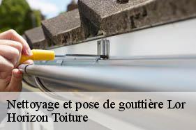 Nettoyage et pose de gouttière lor-02190 Horizon Toiture