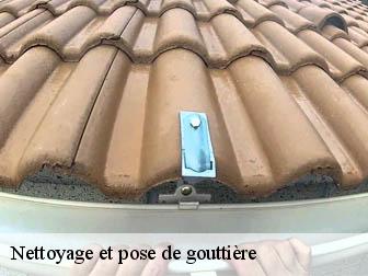 Nettoyage et pose de gouttière