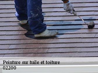 Peinture sur tuile et toiture  02200