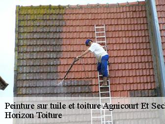 Peinture sur tuile et toiture  02340