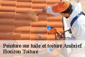 Peinture sur tuile et toiture ambrief-02200 Horizon Toiture