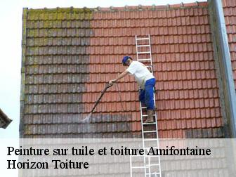 Peinture sur tuile et toiture  02190