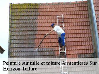 Peinture sur tuile et toiture 02210