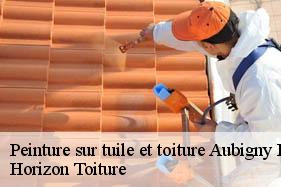 Peinture sur tuile et toiture aubigny-en-laonnois-02820 Horizon Toiture
