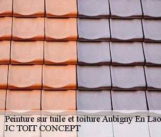 Peinture sur tuile et toiture  aubigny-en-laonnois-02820 JC TOIT CONCEPT