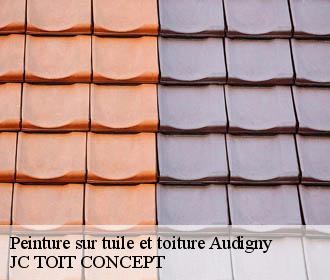 Peinture sur tuile et toiture  audigny-02120 JC TOIT CONCEPT