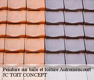 Peinture sur tuile et toiture  autremencourt-02250 JC TOIT CONCEPT