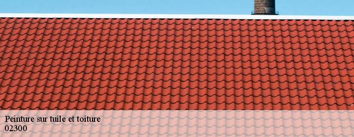Peinture sur tuile et toiture  02300