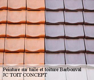 Peinture sur tuile et toiture  barbonval-02160 JC TOIT CONCEPT