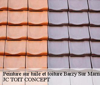Peinture sur tuile et toiture  barzy-sur-marne-02850 JC TOIT CONCEPT