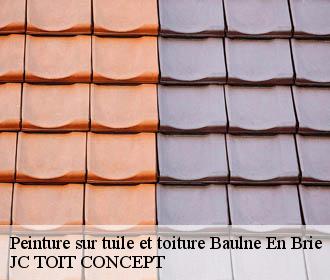 Peinture sur tuile et toiture  baulne-en-brie-02330 JC TOIT CONCEPT