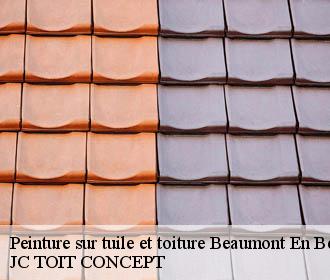 Peinture sur tuile et toiture  beaumont-en-beine-02300 JC TOIT CONCEPT