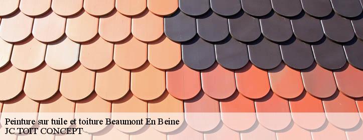 Peinture sur tuile et toiture  02300