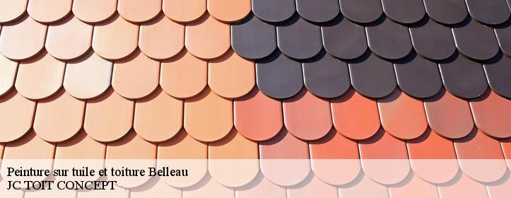 Peinture sur tuile et toiture  02400