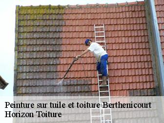 Peinture sur tuile et toiture  02240