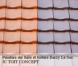 Peinture sur tuile et toiture  berzy-le-sec-02200 JC TOIT CONCEPT