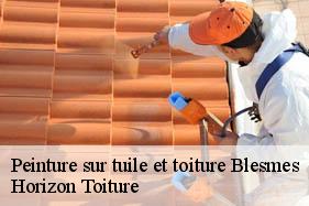 Peinture sur tuile et toiture blesmes-02400 Horizon Toiture