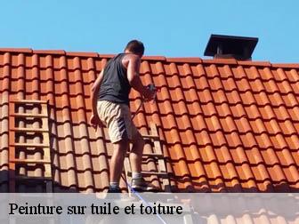 Peinture sur tuile et toiture